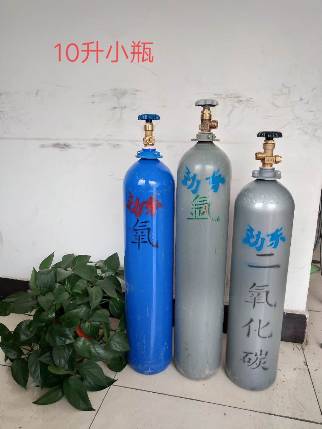 寧夏氧氣,寧夏氮氣,寧夏干冰,寧夏二氧化碳,寧夏氫氣，寧夏氦氣，寧夏氬氣，寧夏丙烷，寧夏乙炔，寧夏混合氣，寧夏高純空氣，寧夏液化石油氣，銀川氧氣,銀川氮氣,銀川干冰,銀川二氧化碳,銀川氫氣，銀川氦氣，銀川氬氣，銀川丙烷，銀川乙炔，銀川混合氣，銀川高純空氣，銀川液化石油氣